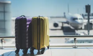 Zwei Koffer, lila und gelb, stehen am Flughafen vor einem Flugzeug.