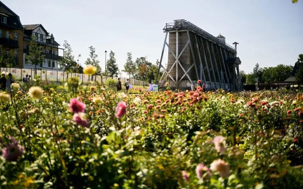 Landesgartenschau Bad Dürrenberg Weinterrasse Weinberg